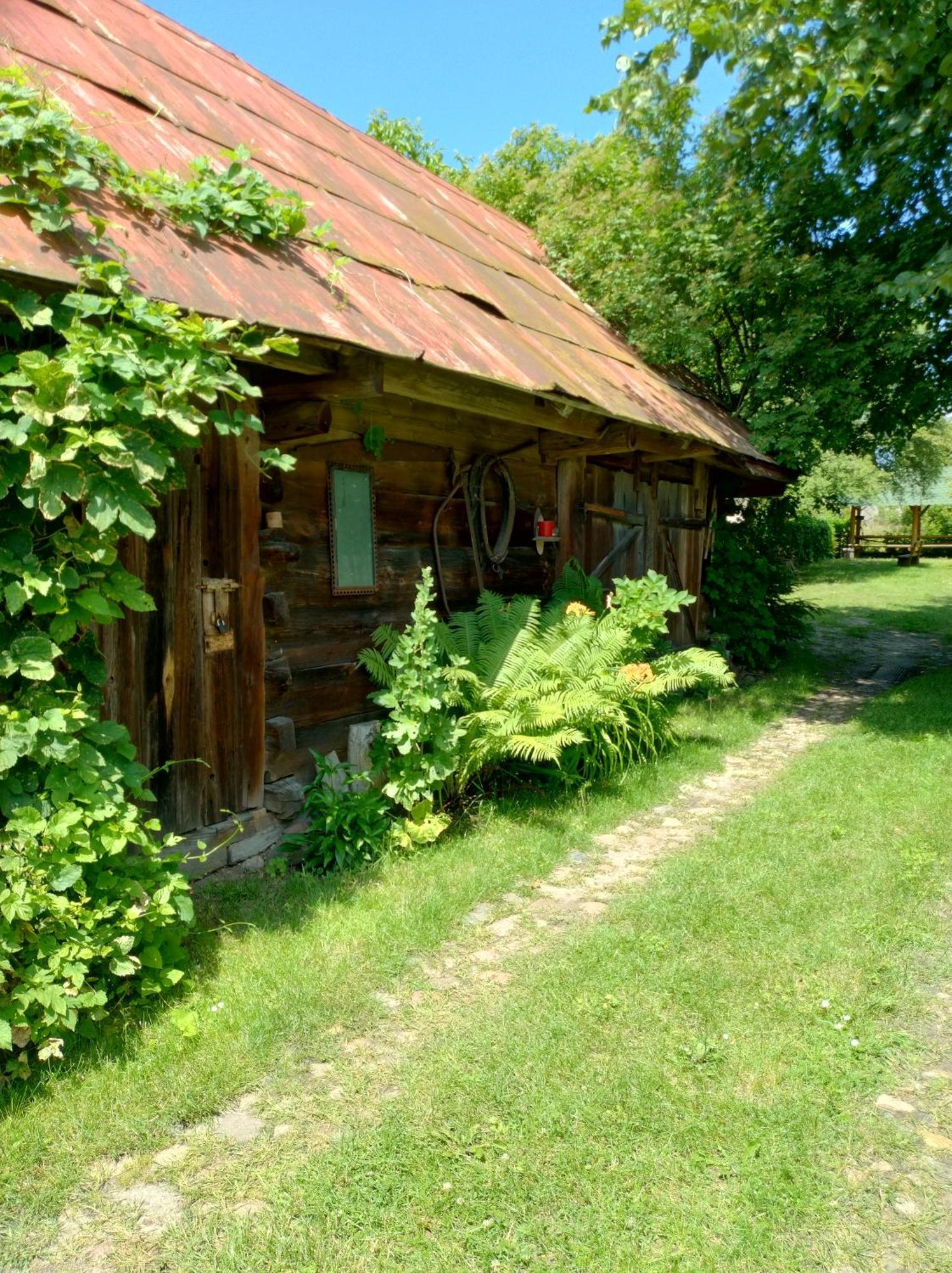 Dom Sloneczko Pokoje Do Wynajecia W Bialowiezy Bialowieza Exterior photo