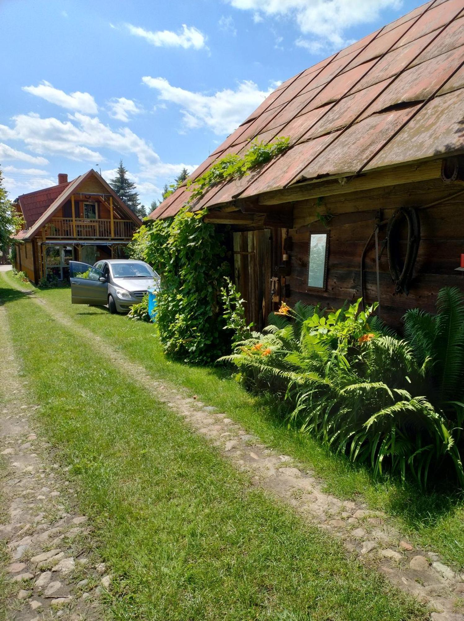 Dom Sloneczko Pokoje Do Wynajecia W Bialowiezy Bialowieza Exterior photo